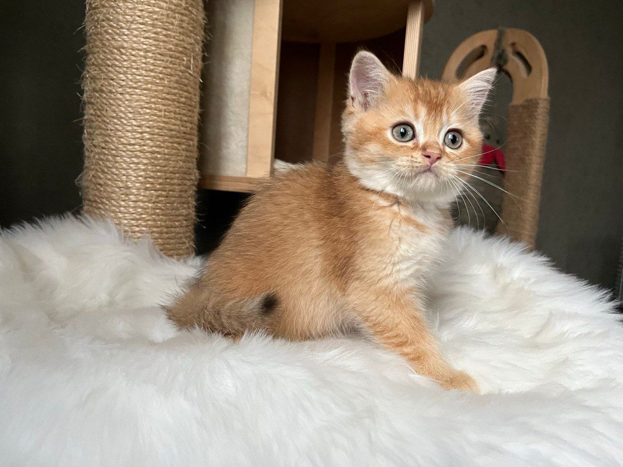 WhatsApp Image 2023-11-27 at 20.37.57