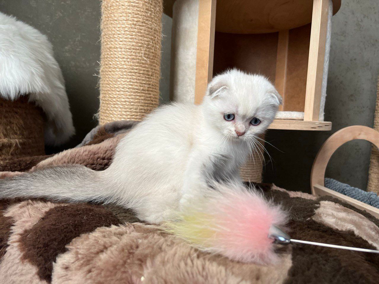 WhatsApp Image 2023-11-27 at 20.43.18 (1)