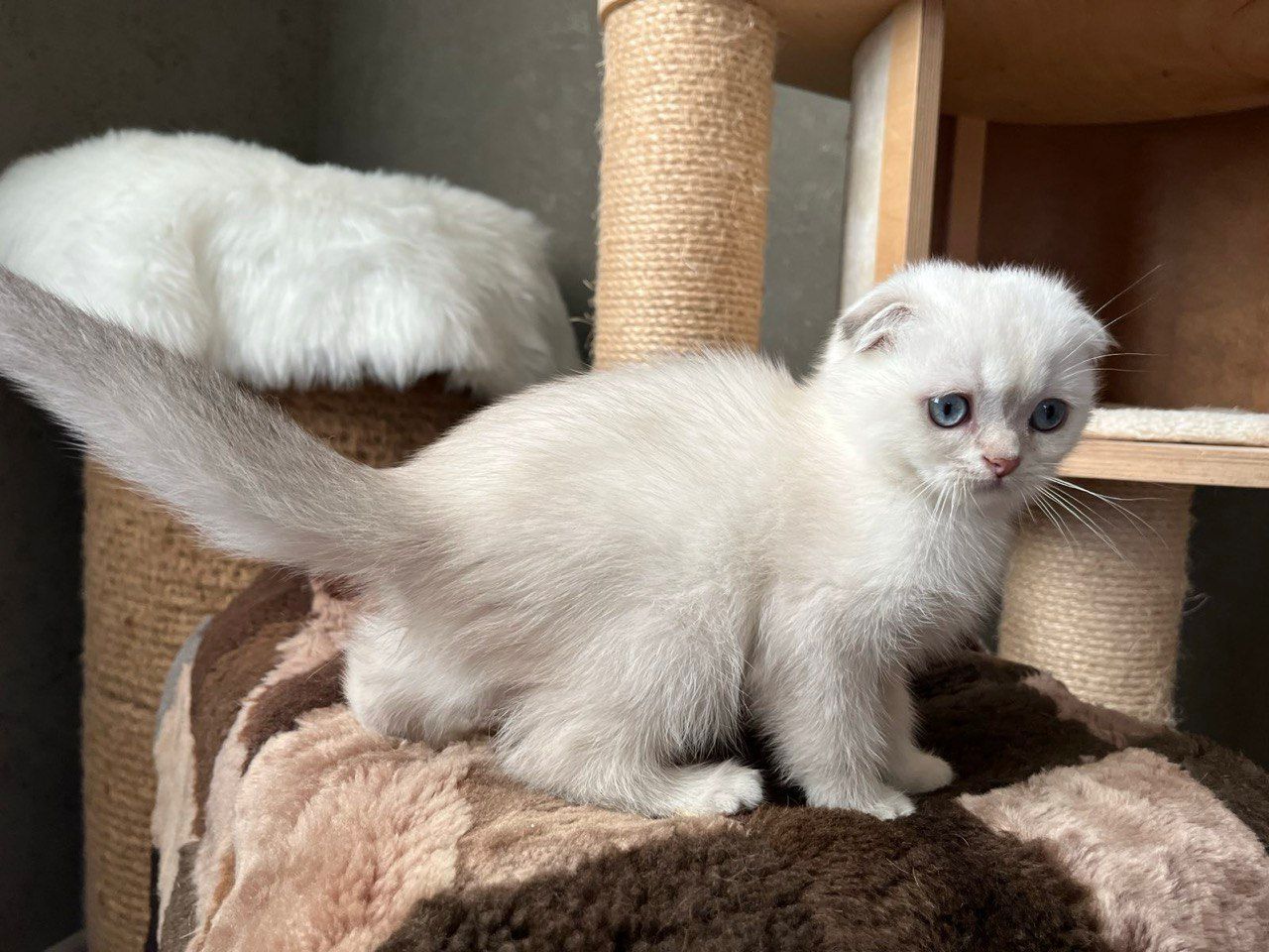 WhatsApp Image 2023-11-27 at 20.43.18