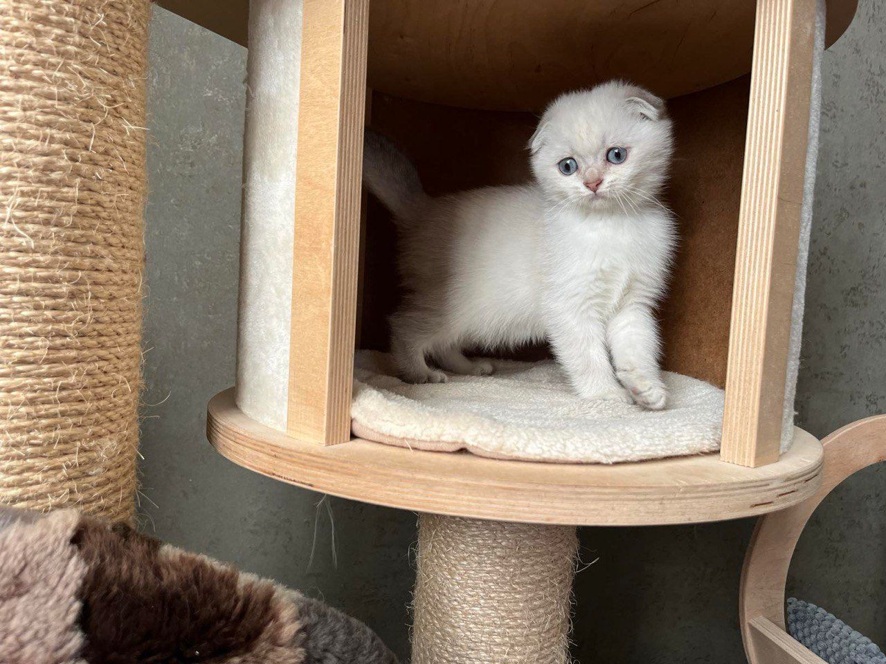 WhatsApp Image 2023-11-27 at 20.43.19