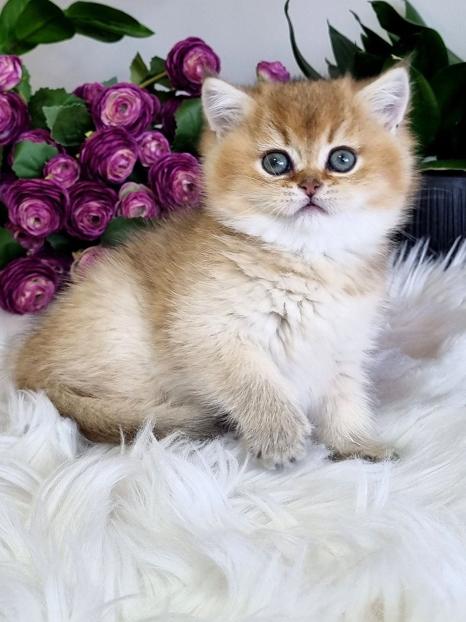 WhatsApp Image 2023-11-27 at 20.45.43