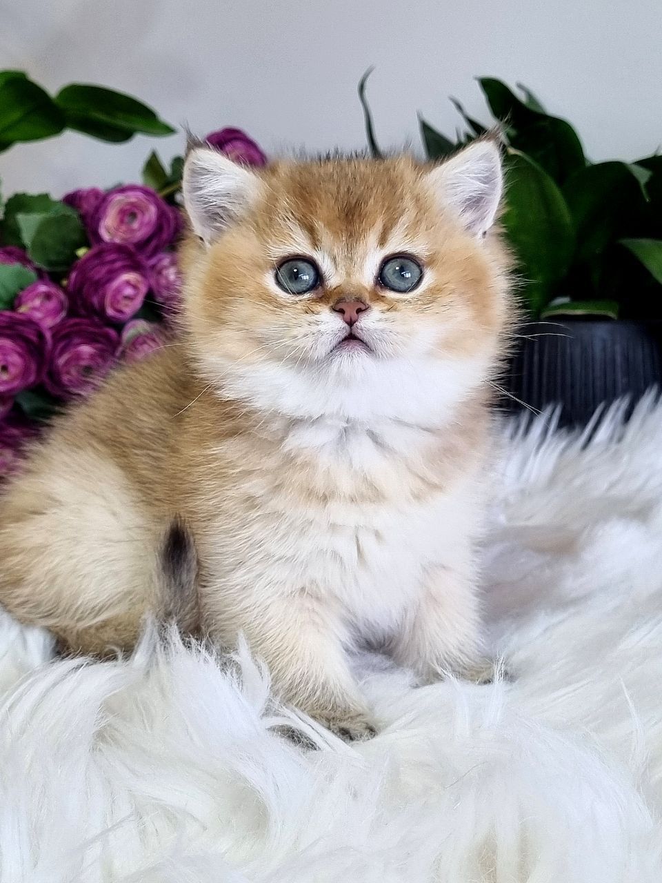 WhatsApp Image 2023-11-27 at 20.45.44 (1)