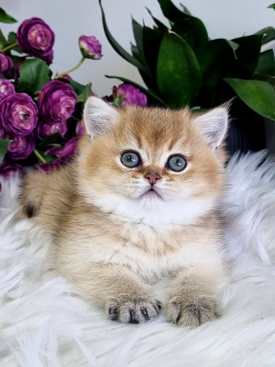 WhatsApp Image 2023-11-27 at 20.45.46