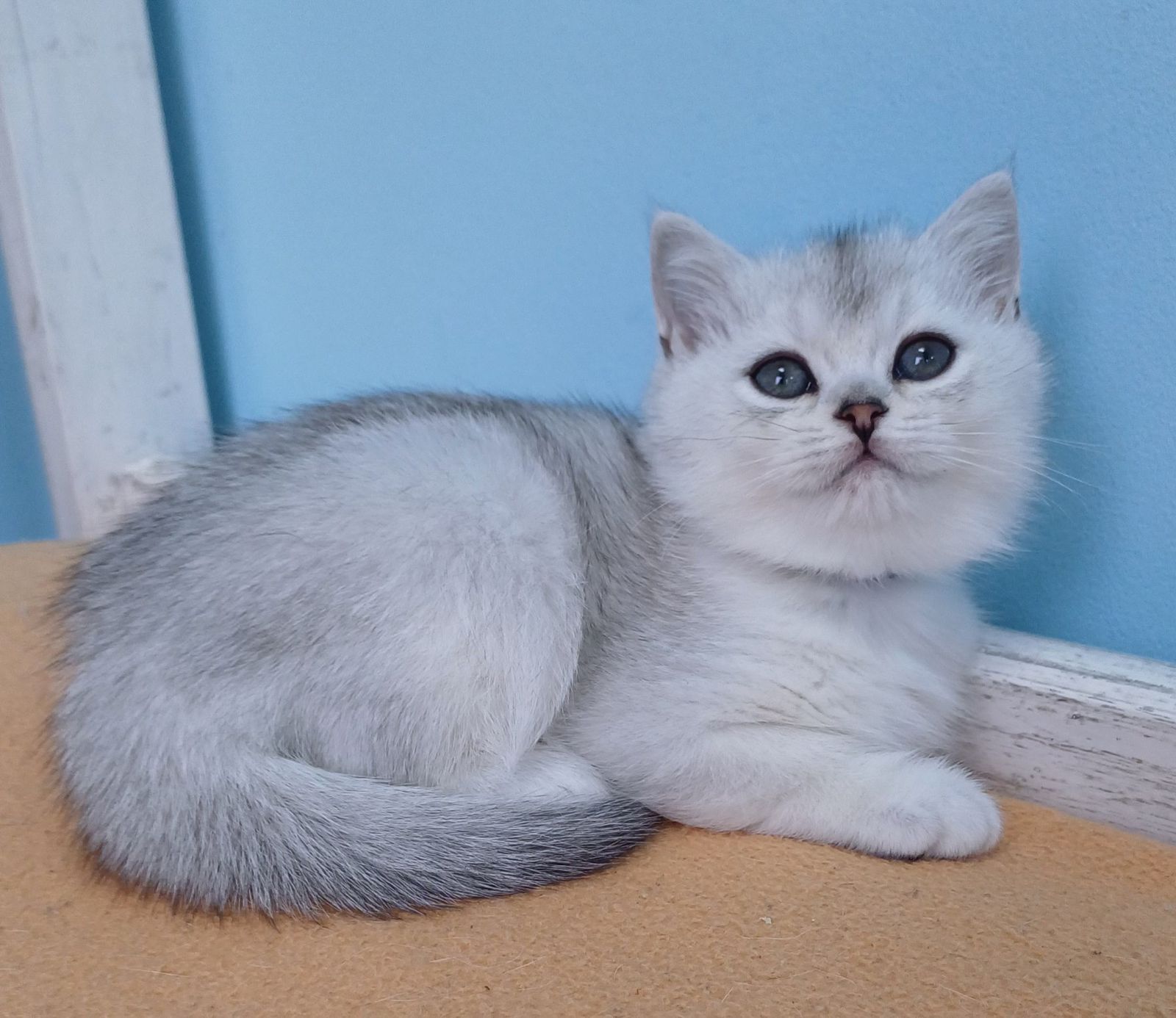 WhatsApp Image 2023-11-27 at 20.59.55