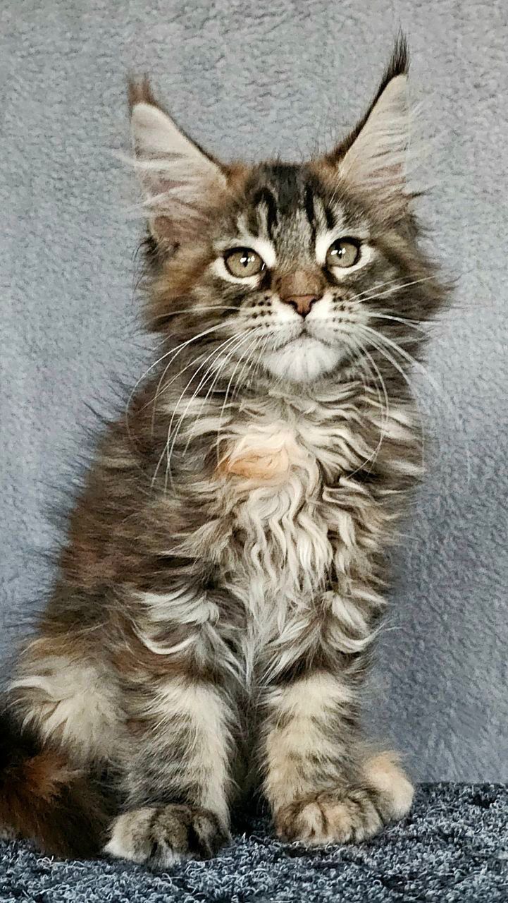 WhatsApp Image 2023-11-27 at 21.00.56