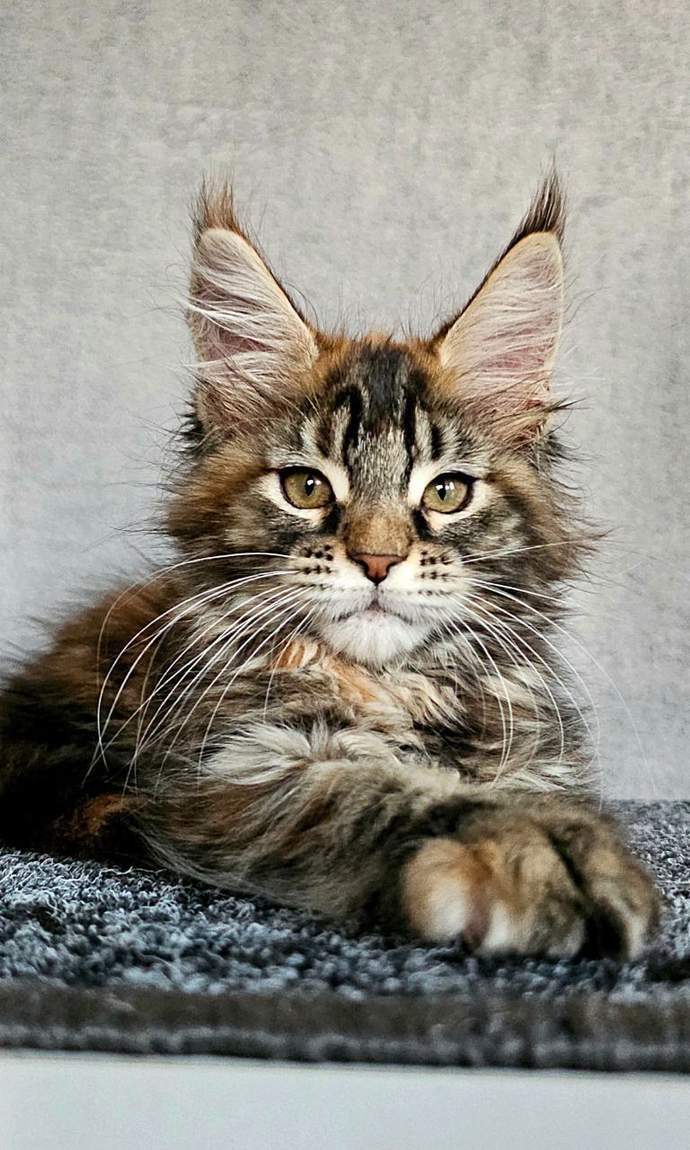 WhatsApp Image 2023-11-27 at 21.00.58