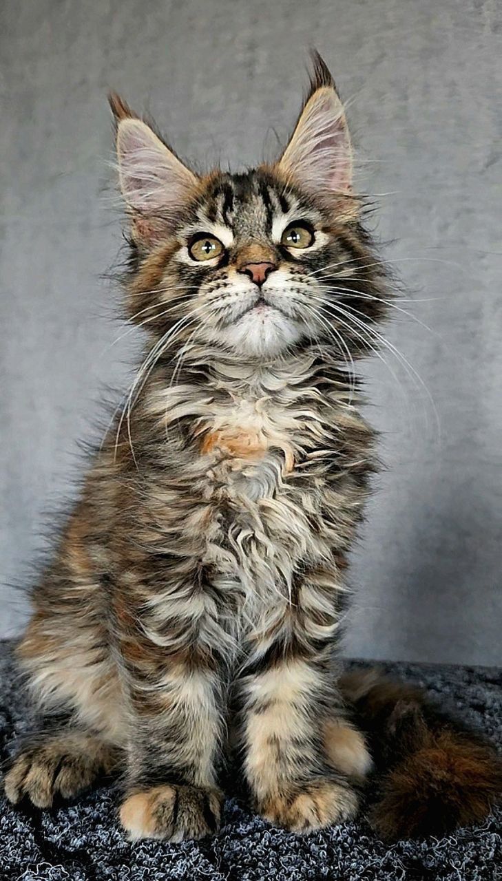 WhatsApp Image 2023-11-27 at 21.00.59 (2)