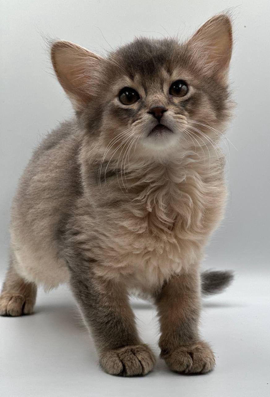 WhatsApp Image 2023-11-28 at 20.22.32