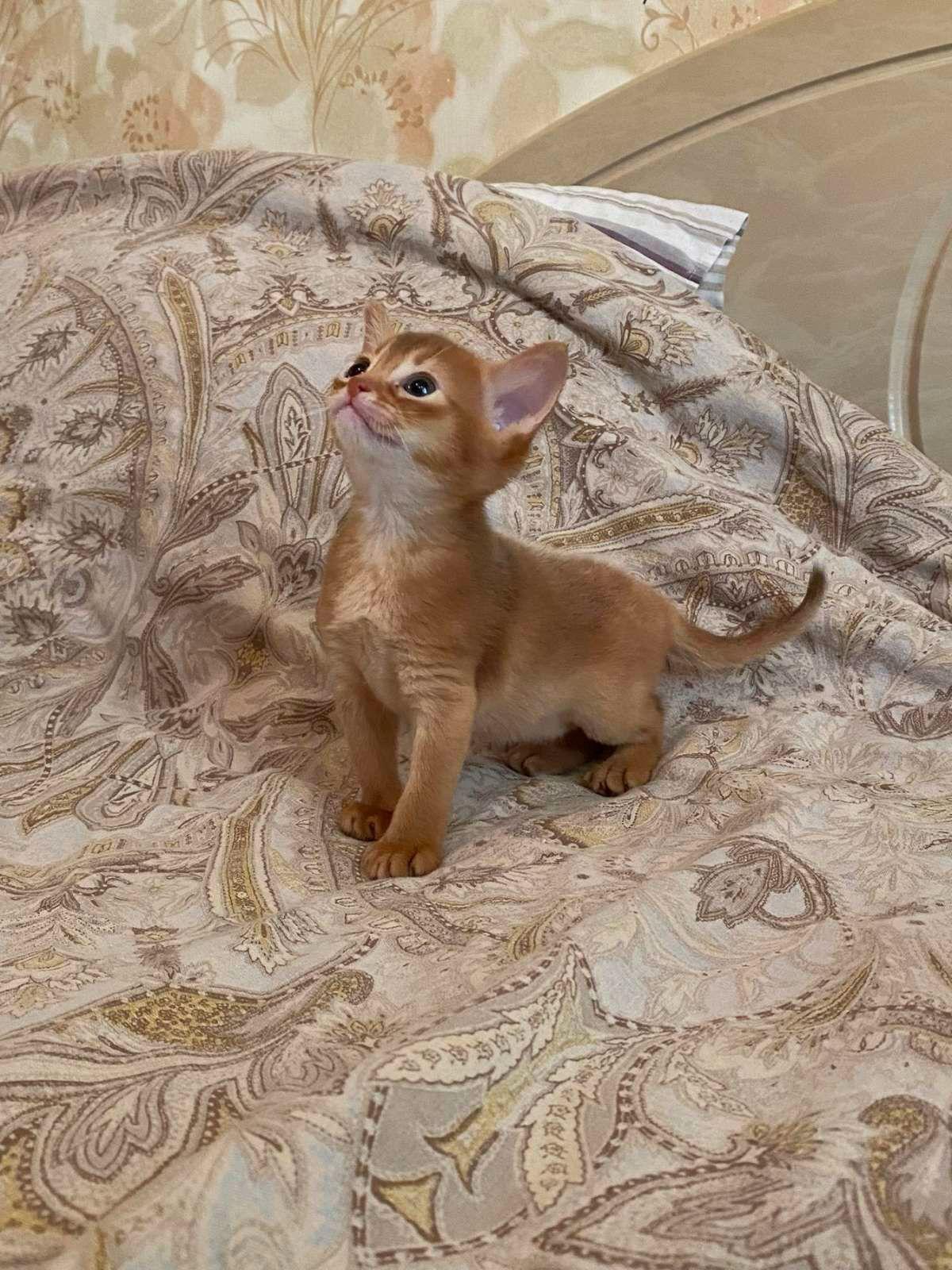 WhatsApp Image 2023-11-28 at 21.24.31