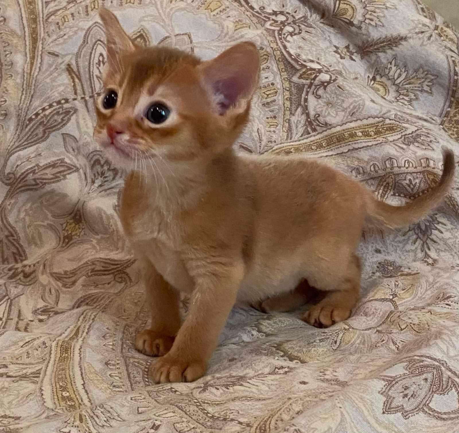 WhatsApp Image 2023-11-28 at 21.24.33