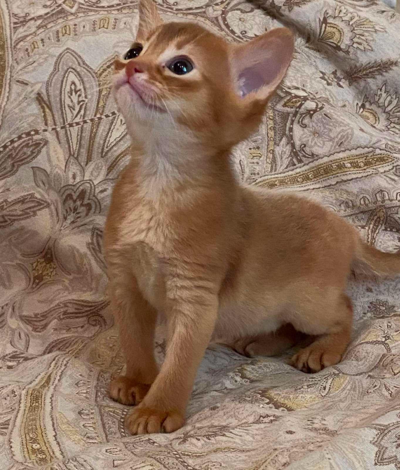 WhatsApp Image 2023-11-28 at 21.24.34