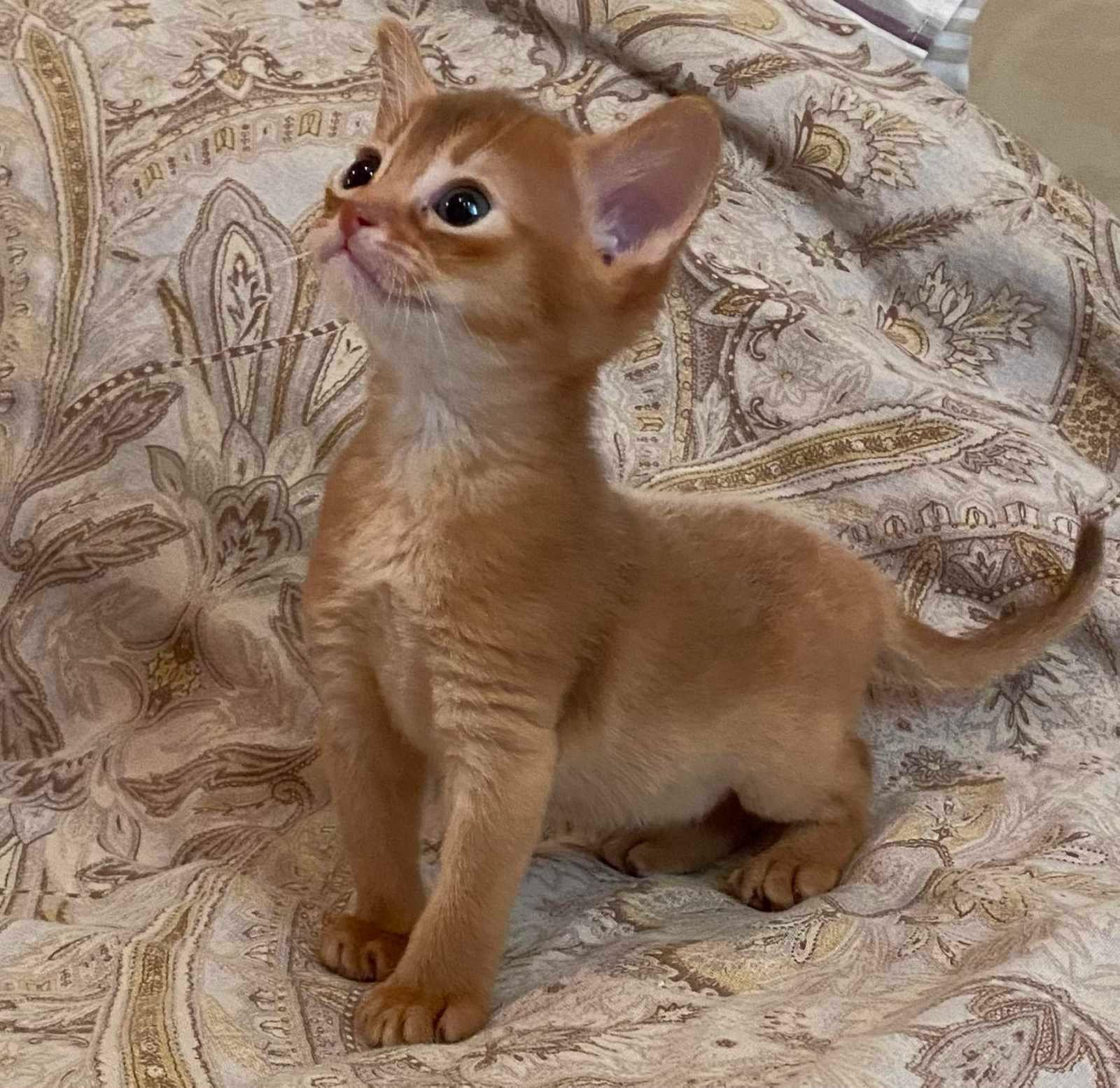 WhatsApp Image 2023-11-28 at 21.24.36