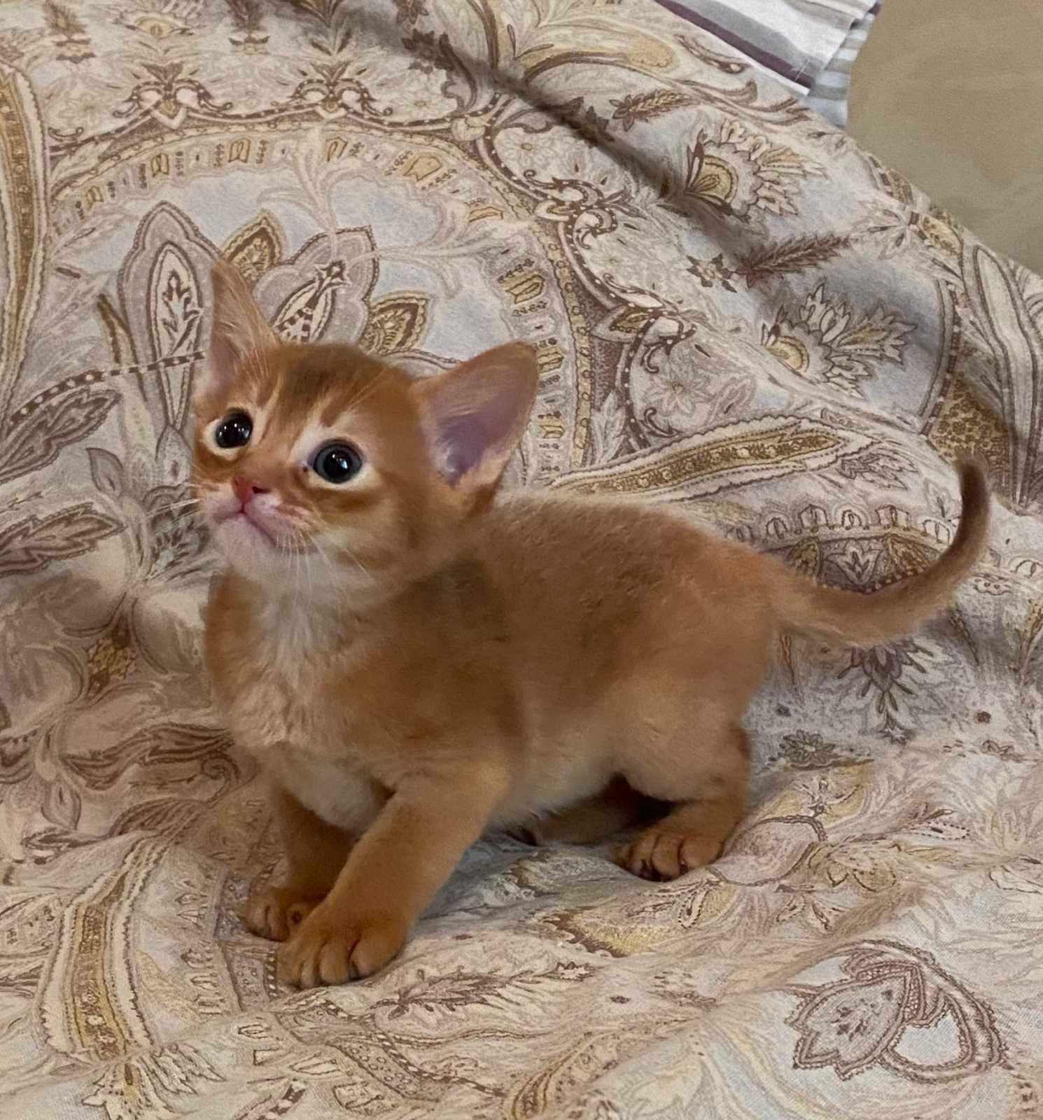 WhatsApp Image 2023-11-28 at 21.24.37