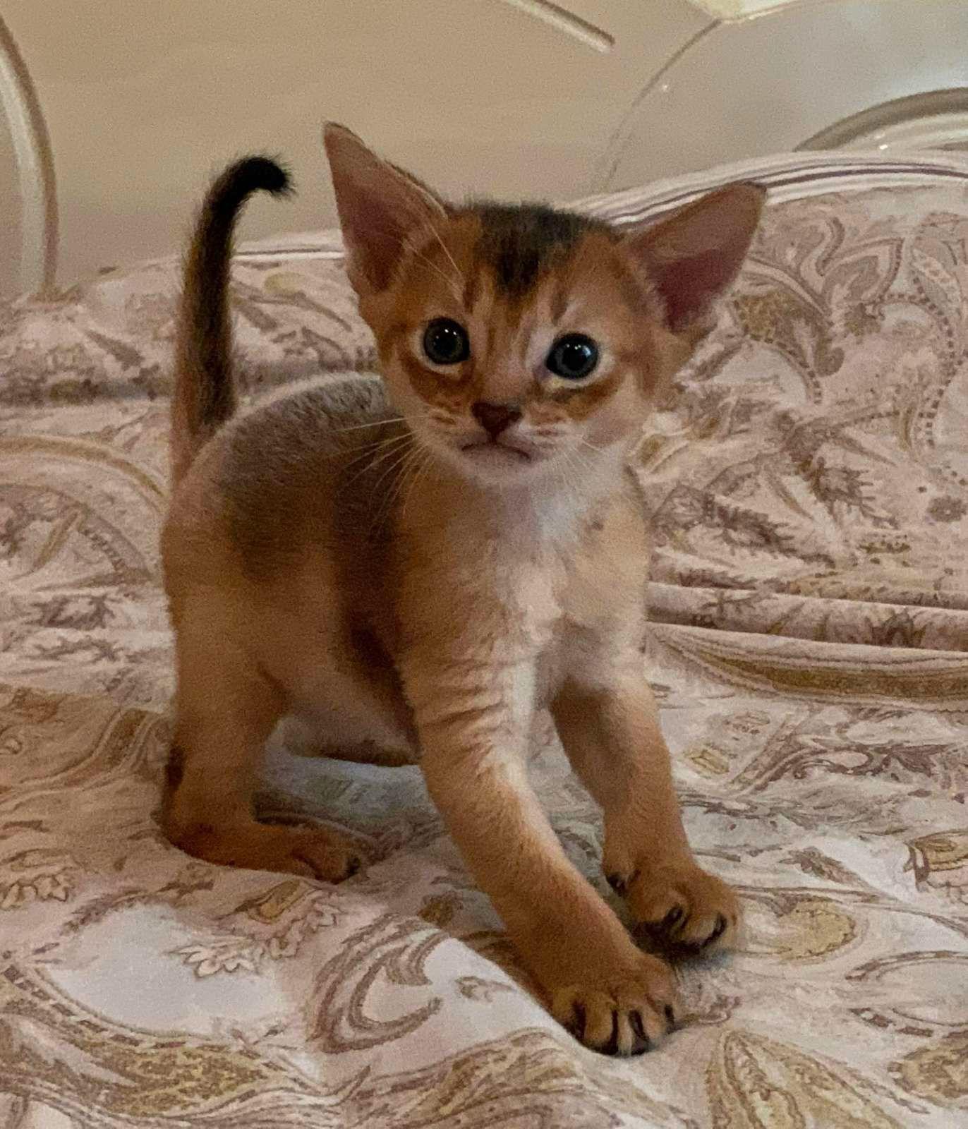 WhatsApp Image 2023-11-28 at 21.26.27