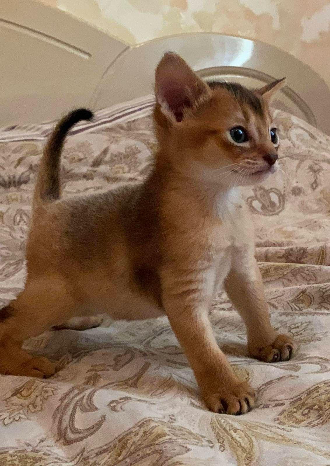 WhatsApp Image 2023-11-28 at 21.26.28