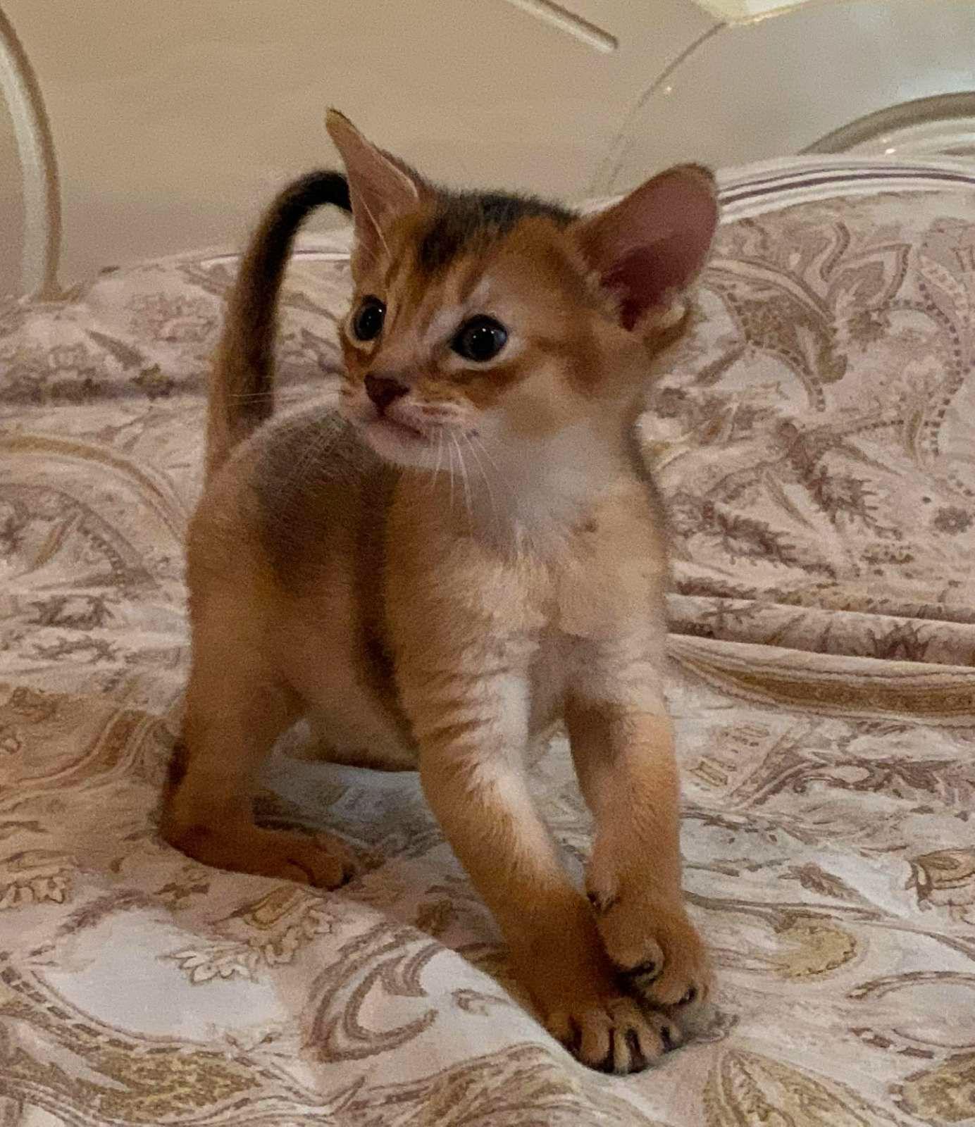 WhatsApp Image 2023-11-28 at 21.26.30 (1)