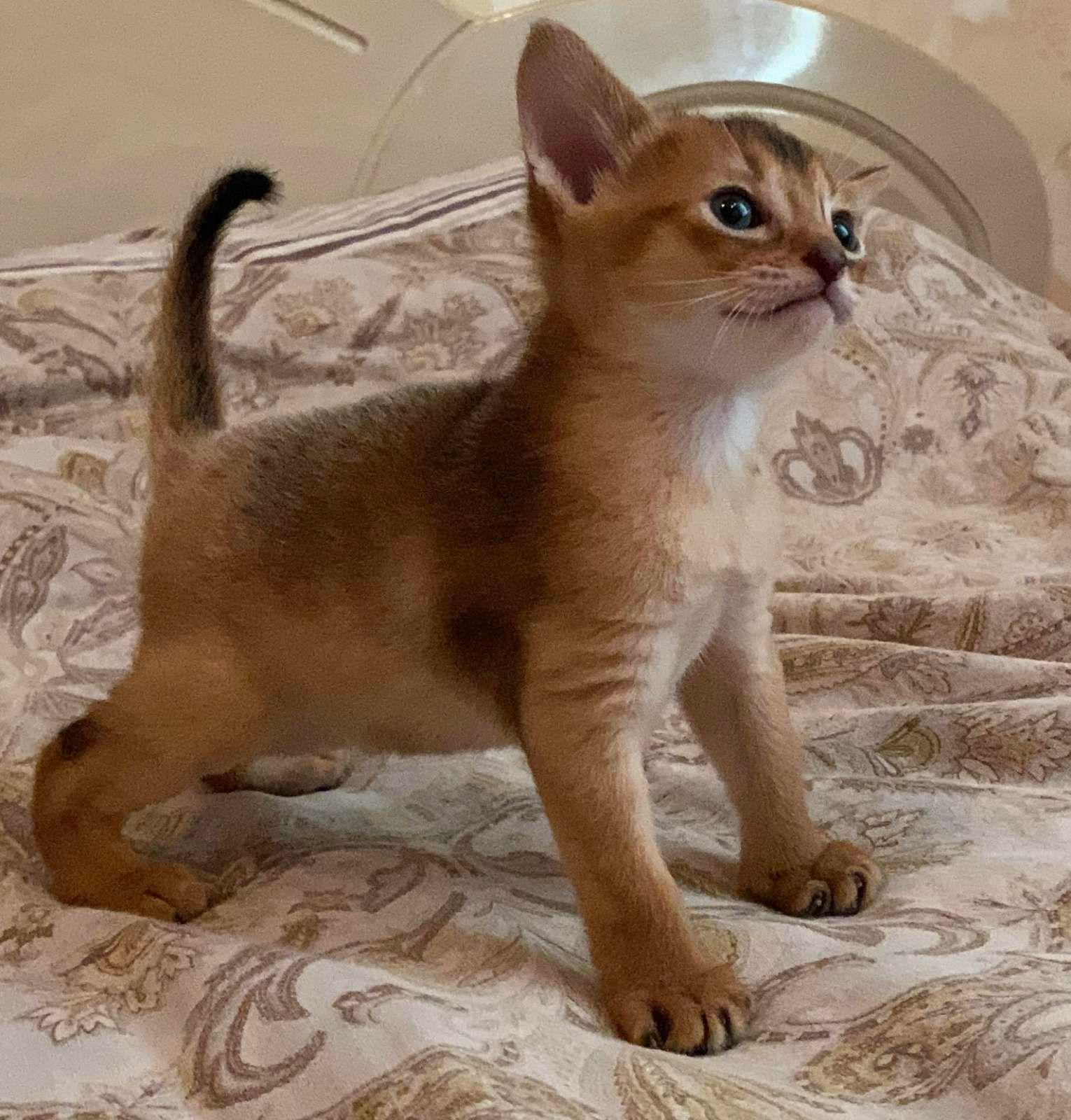 WhatsApp Image 2023-11-28 at 21.26.30