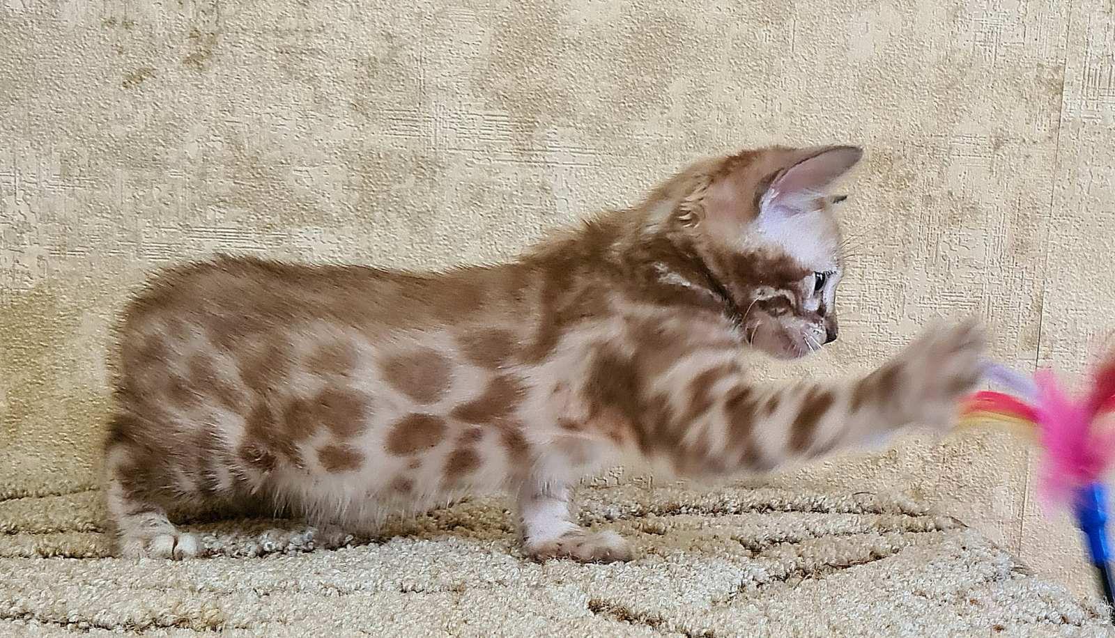 WhatsApp Image 2023-11-28 at 21.27.33 (2)