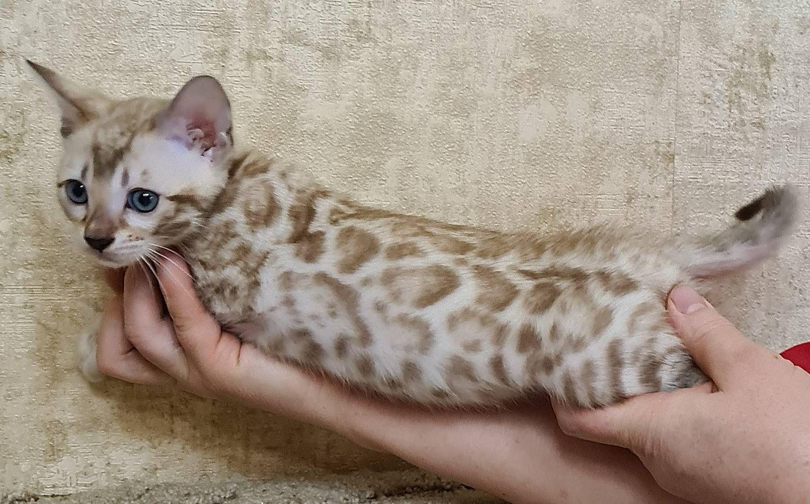 WhatsApp Image 2023-11-28 at 21.28.25