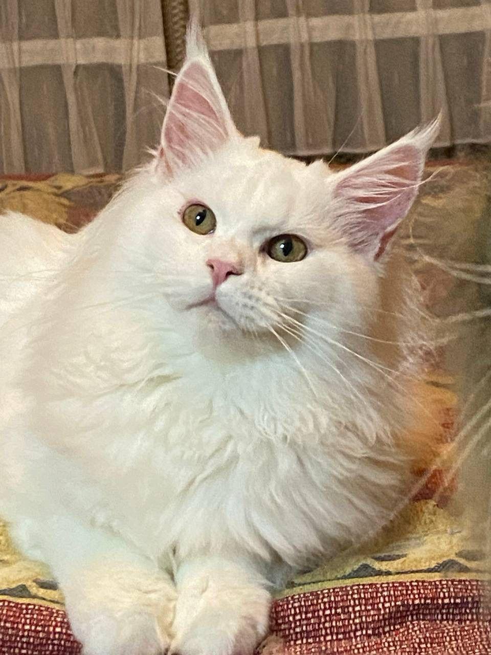 a3006407-18ef-4c2c-ab15-7c0217c2116d