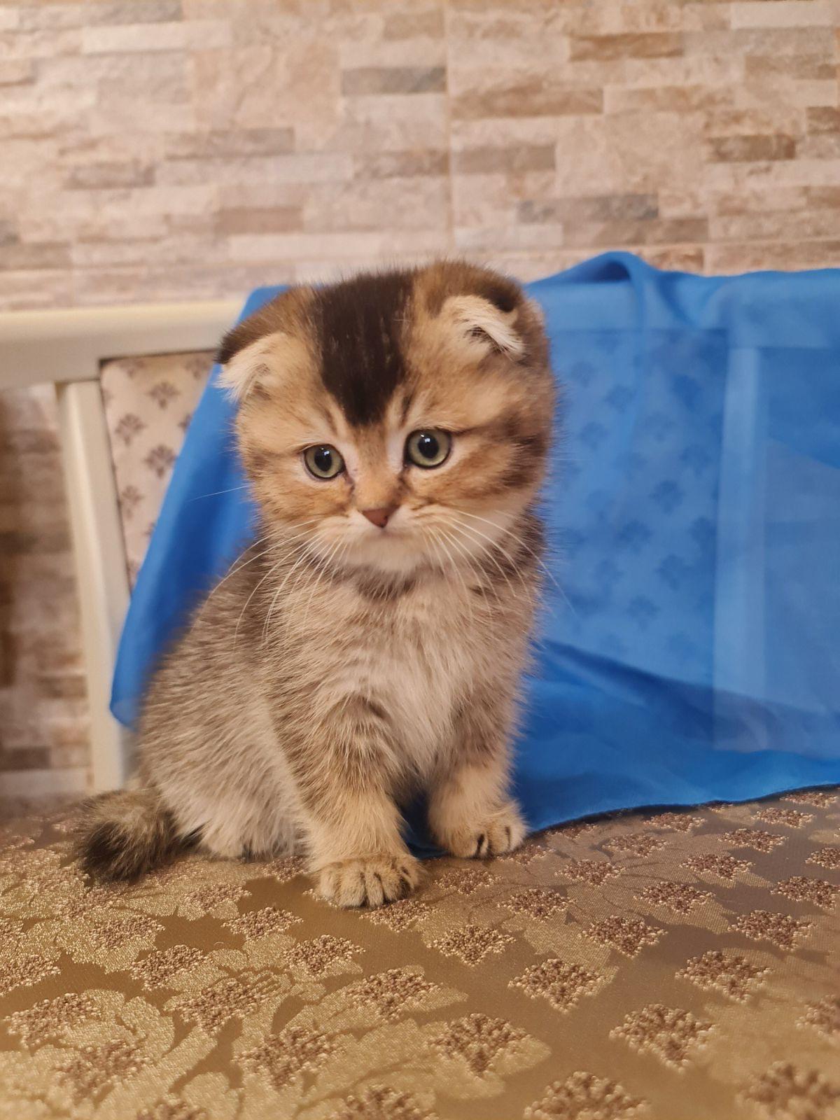 a5c5f86f-11dd-4df8-a279-e9bf29ba87d6