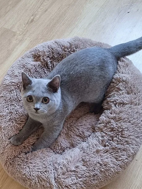 a7f928_b7deba8c0e814dee85211c4f7c173a37~mv2