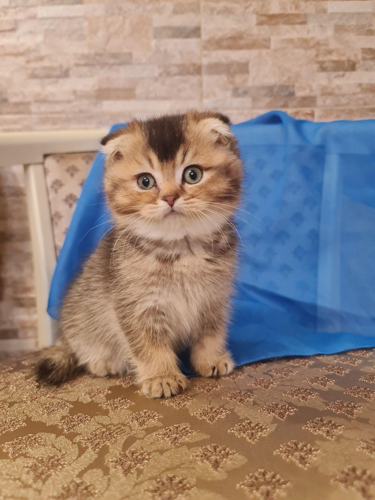 a86b98a8-95eb-4886-9982-6469706b4d89