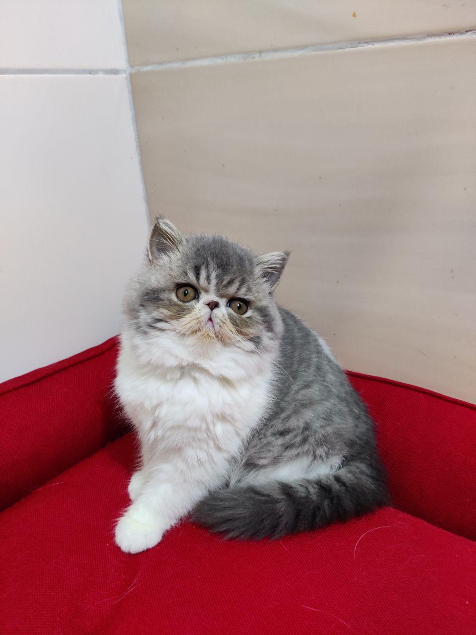 a8be67b9-549e-4d4a-b676-723e38c2289f