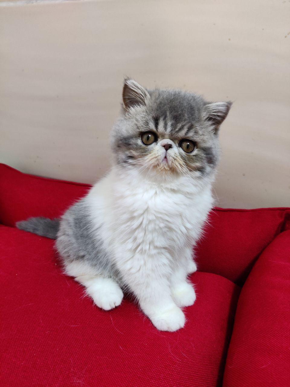 b24d2b38-843a-410e-b81a-1f4e4b5335bb