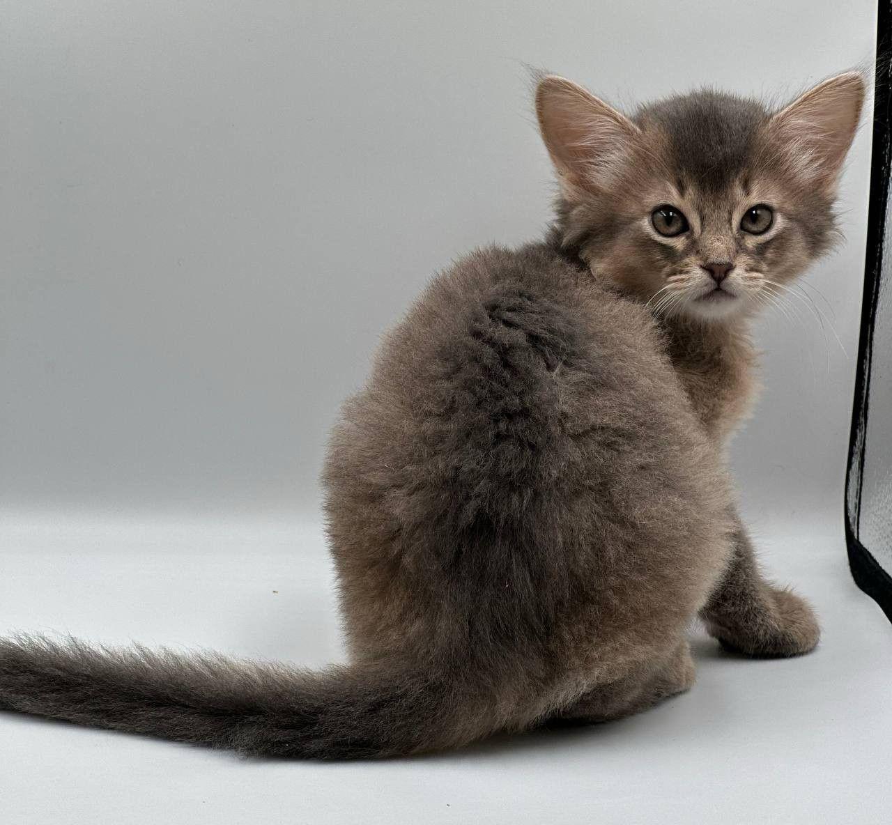 be06889b-9367-4cac-b437-3808e79962c8