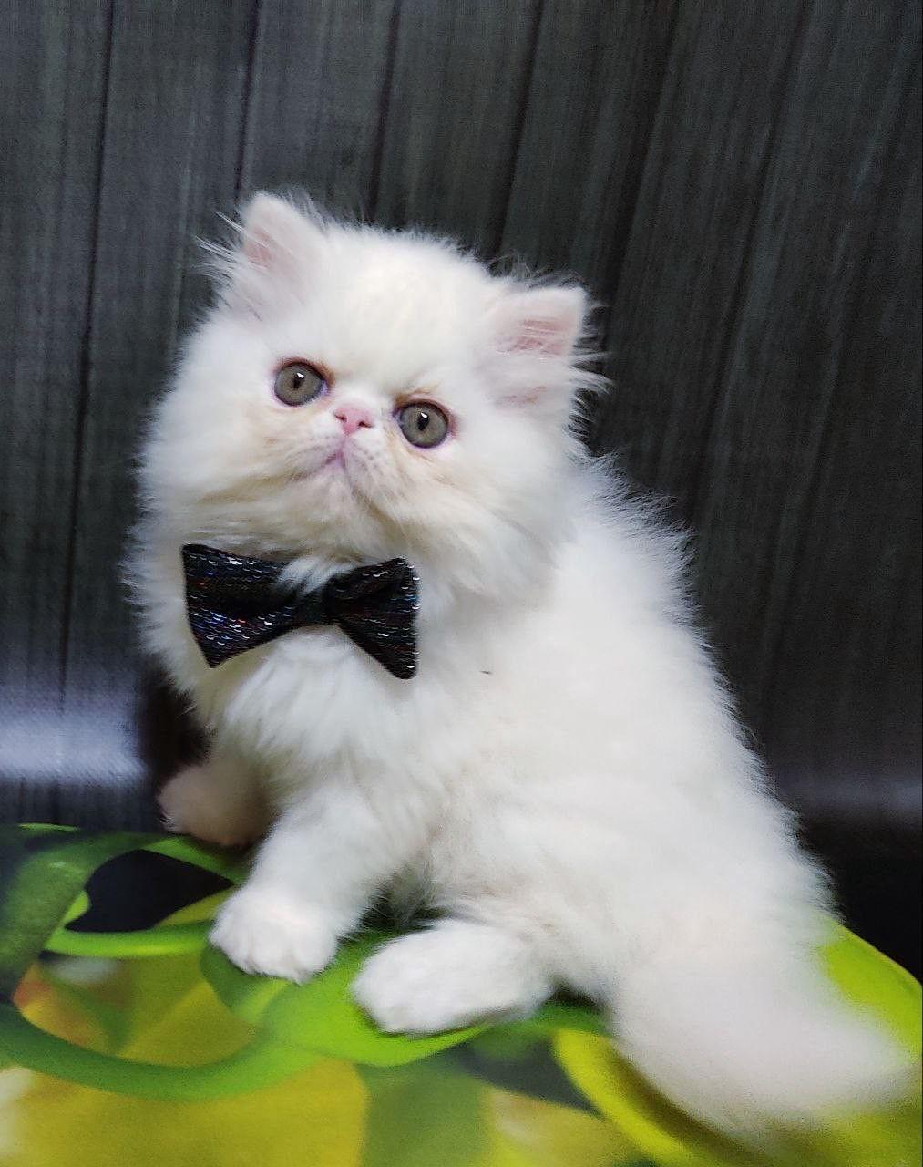 c6dcf1f5-1ad6-4645-acf9-f29fbfe9ee8b