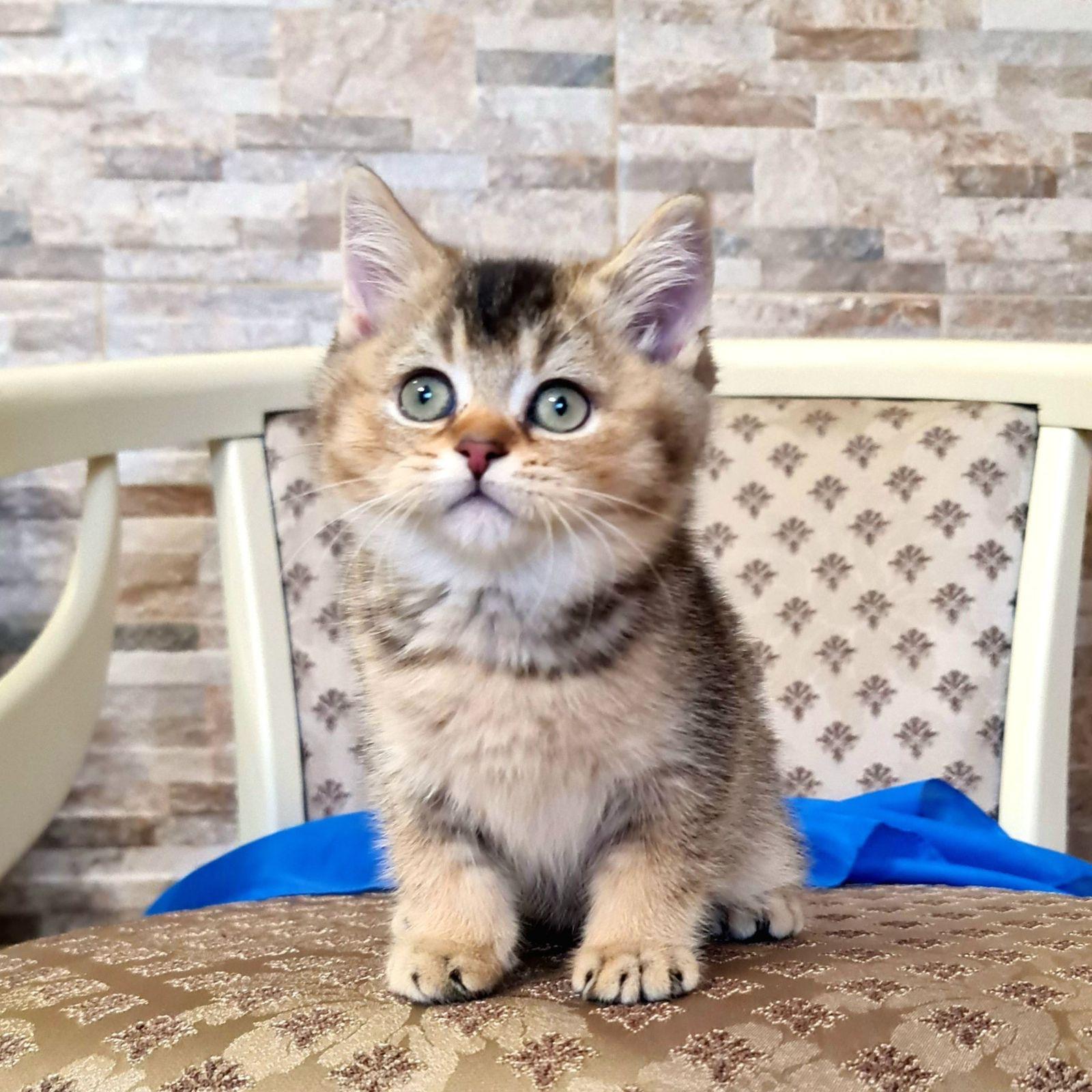 cc012e28-4077-4fd7-9393-6a93670cf33f