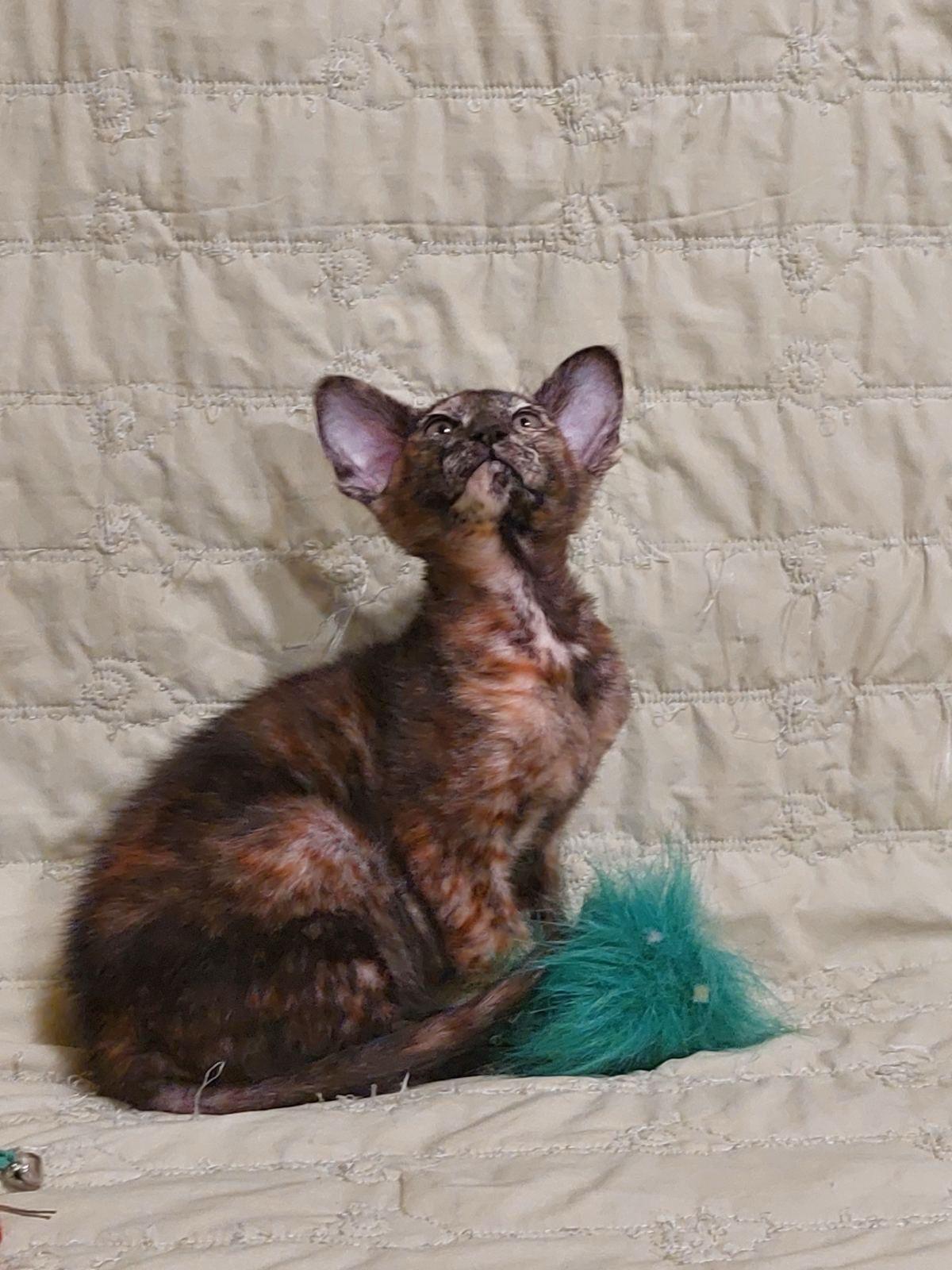 d8753211-b317-460e-87b1-bc916a626a91