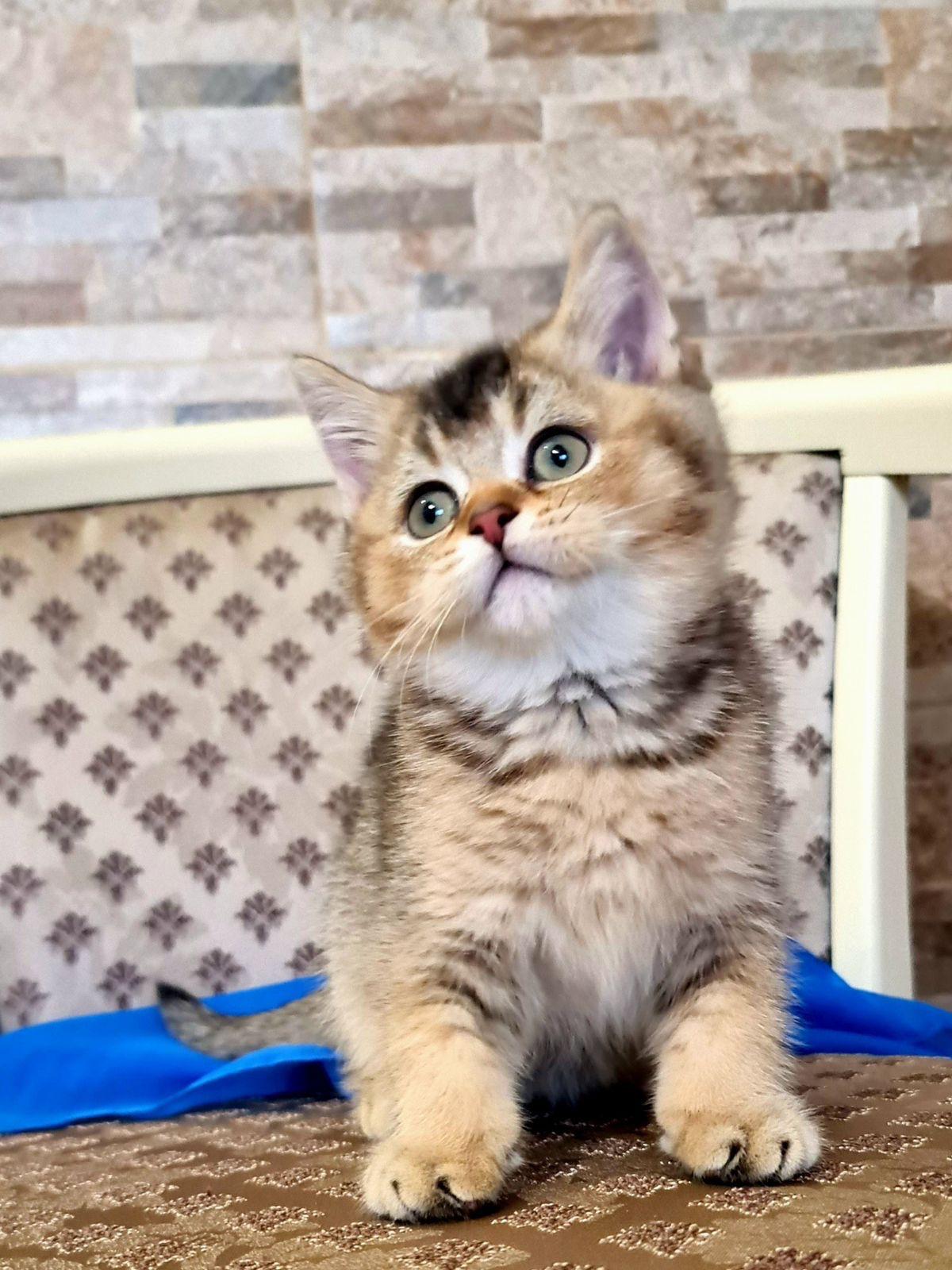 e11bc7df-05fe-4994-83e5-d3e055b128d9