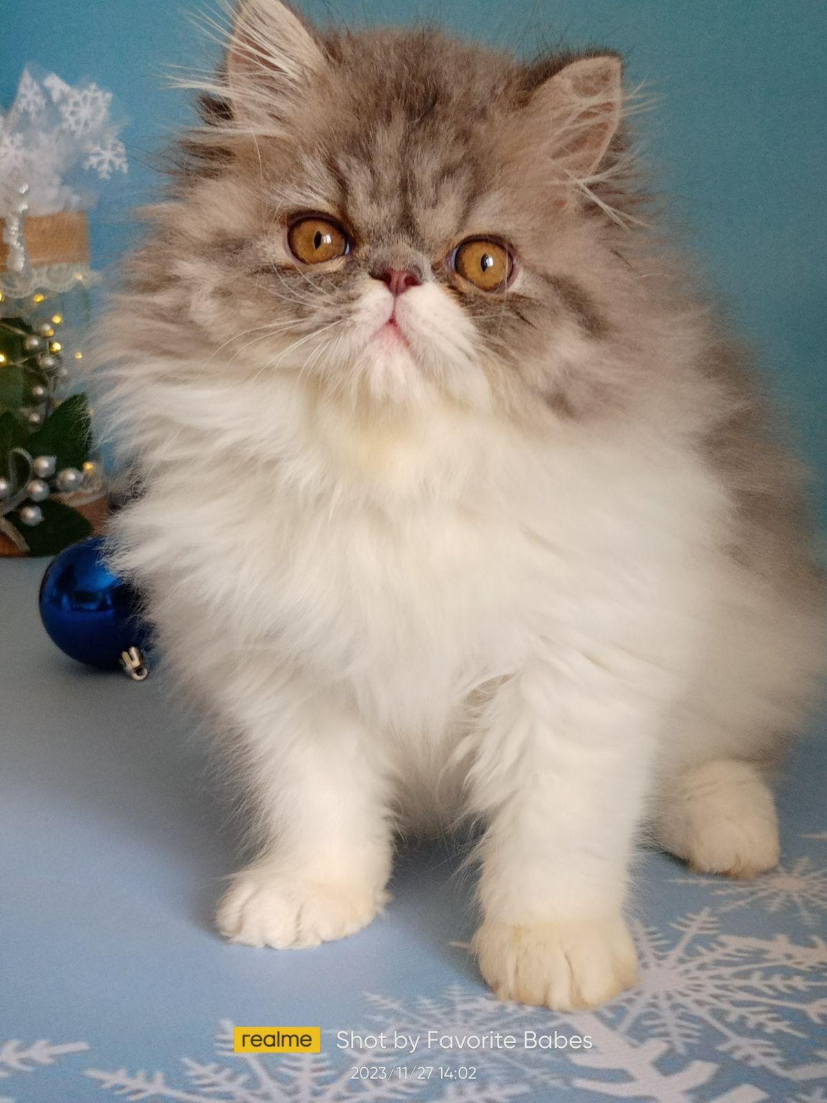 e40cec9c-47c2-439e-a913-8f7deac65b41