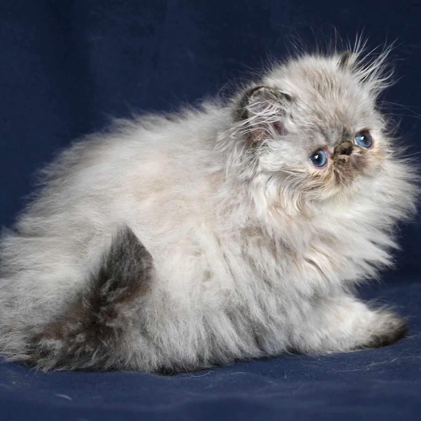 ea74a063-a7a4-498c-b8fd-42ae3a2bc87e