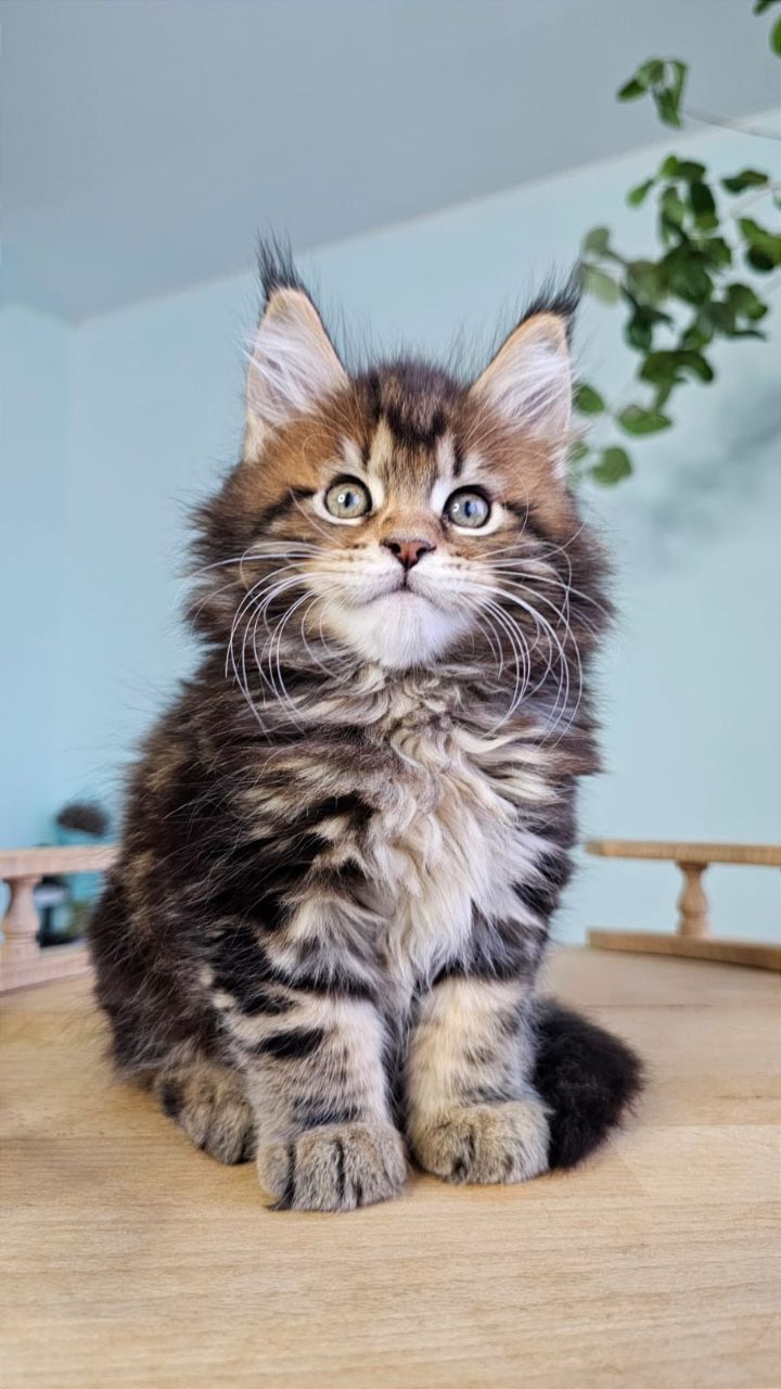 ee558193-10e9-4e25-b6d9-b233a0b87aa1