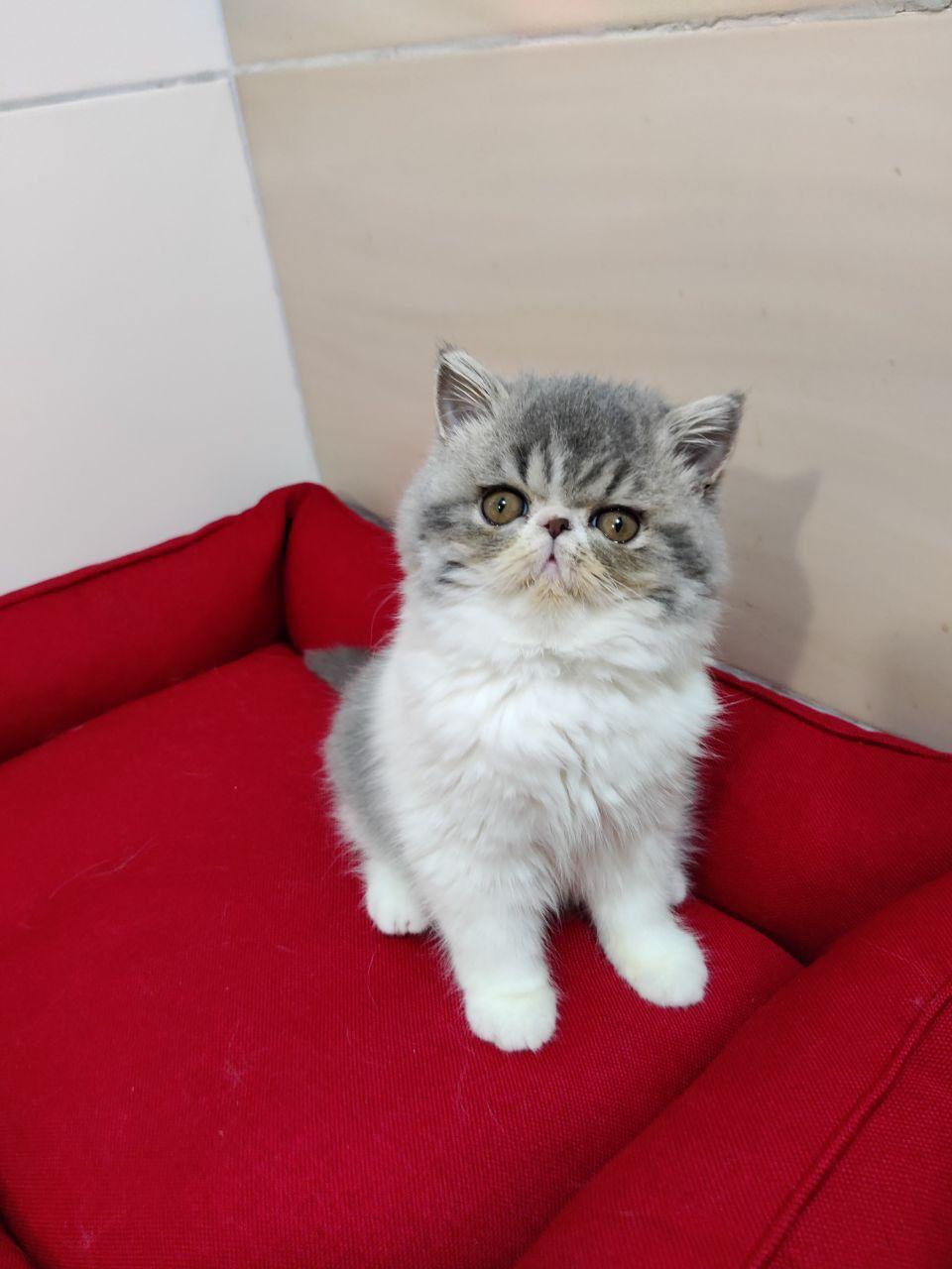 f6b6dc1d-92e0-41bc-ac3b-6ffb2102a8fc