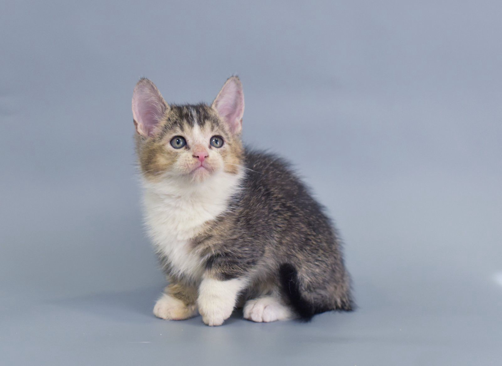 nNUzyTXADRjiJbnzg_ufD92AMLvYrsjzMu6uR7cJrqI=_plaintext_638349479970172509