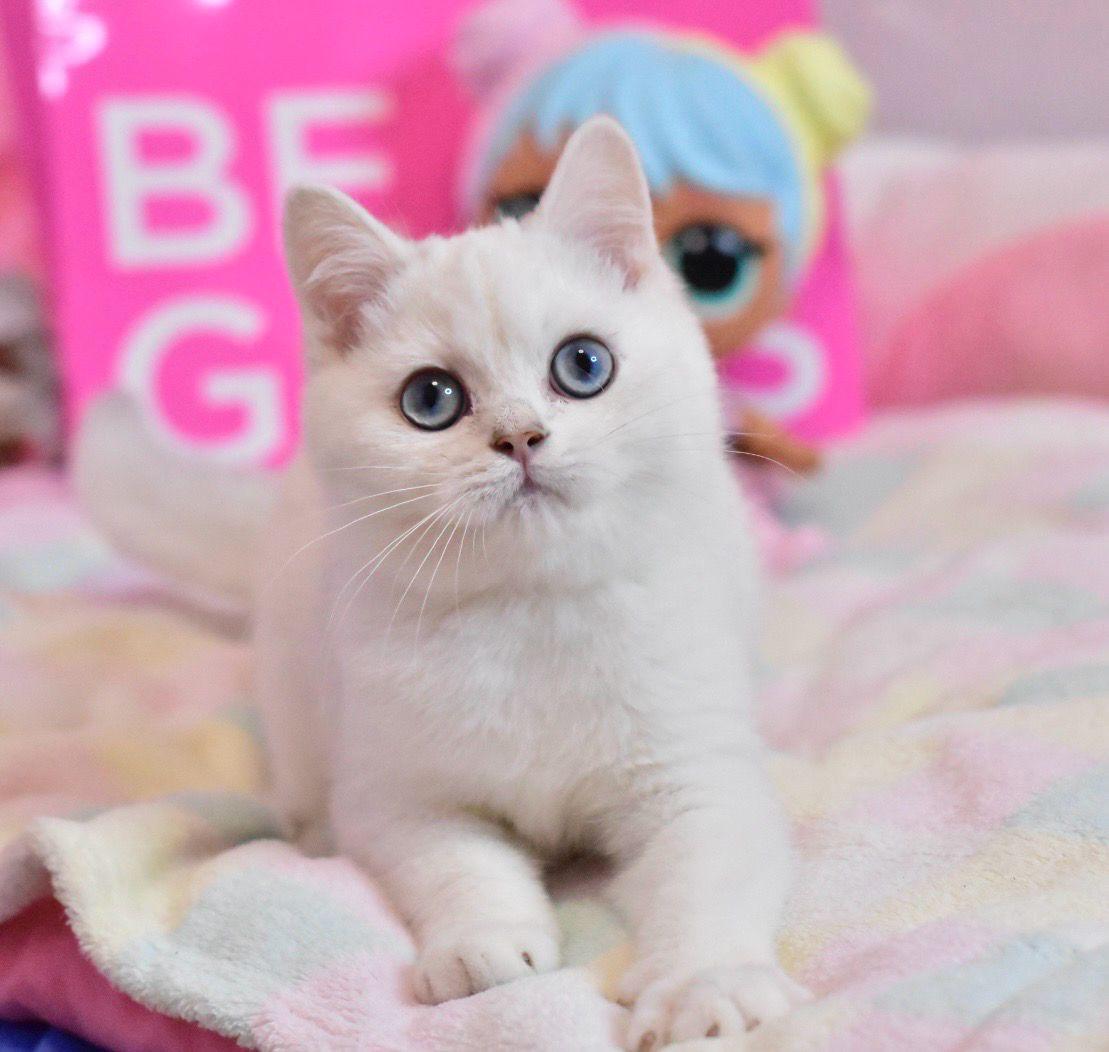 oS13tZhm5zEIRB_m_BX1qKhGlk-yhsNhhrkhIfCrkO0=_plaintext_638349479964048889