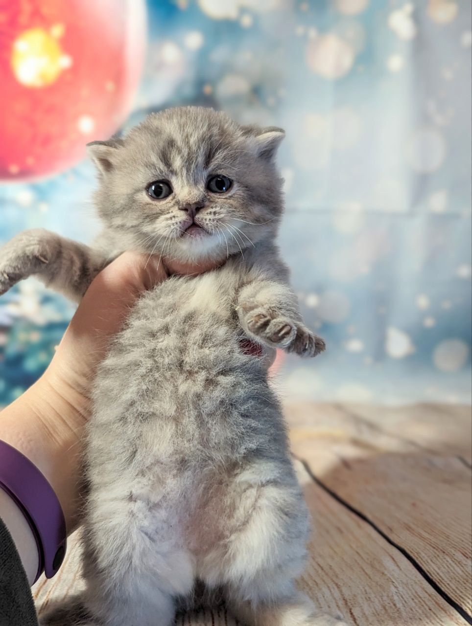 0213edad-bfbd-4190-bbb0-6acb1304e3cb