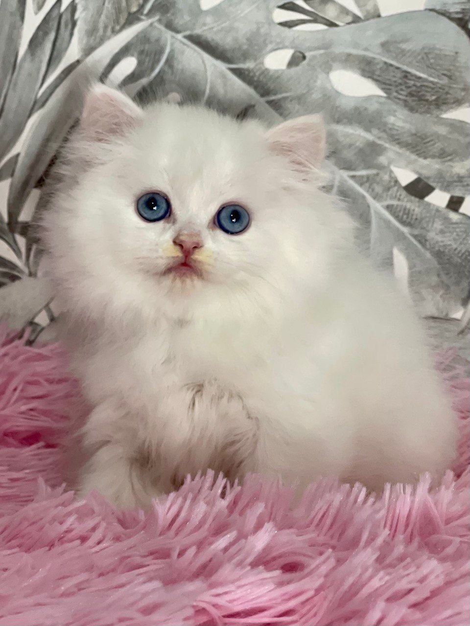 05a55e28-dc58-461a-ac13-dd5434f39d6e