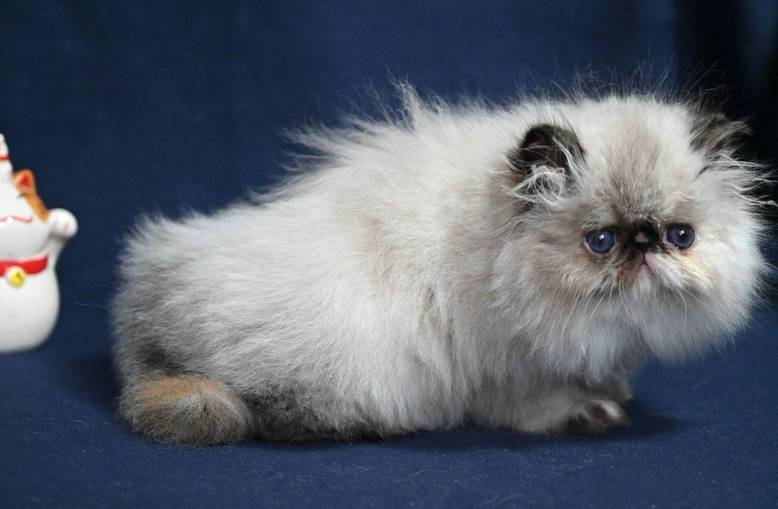 070b6271-7c40-4bac-bbdd-e634456ff2fe