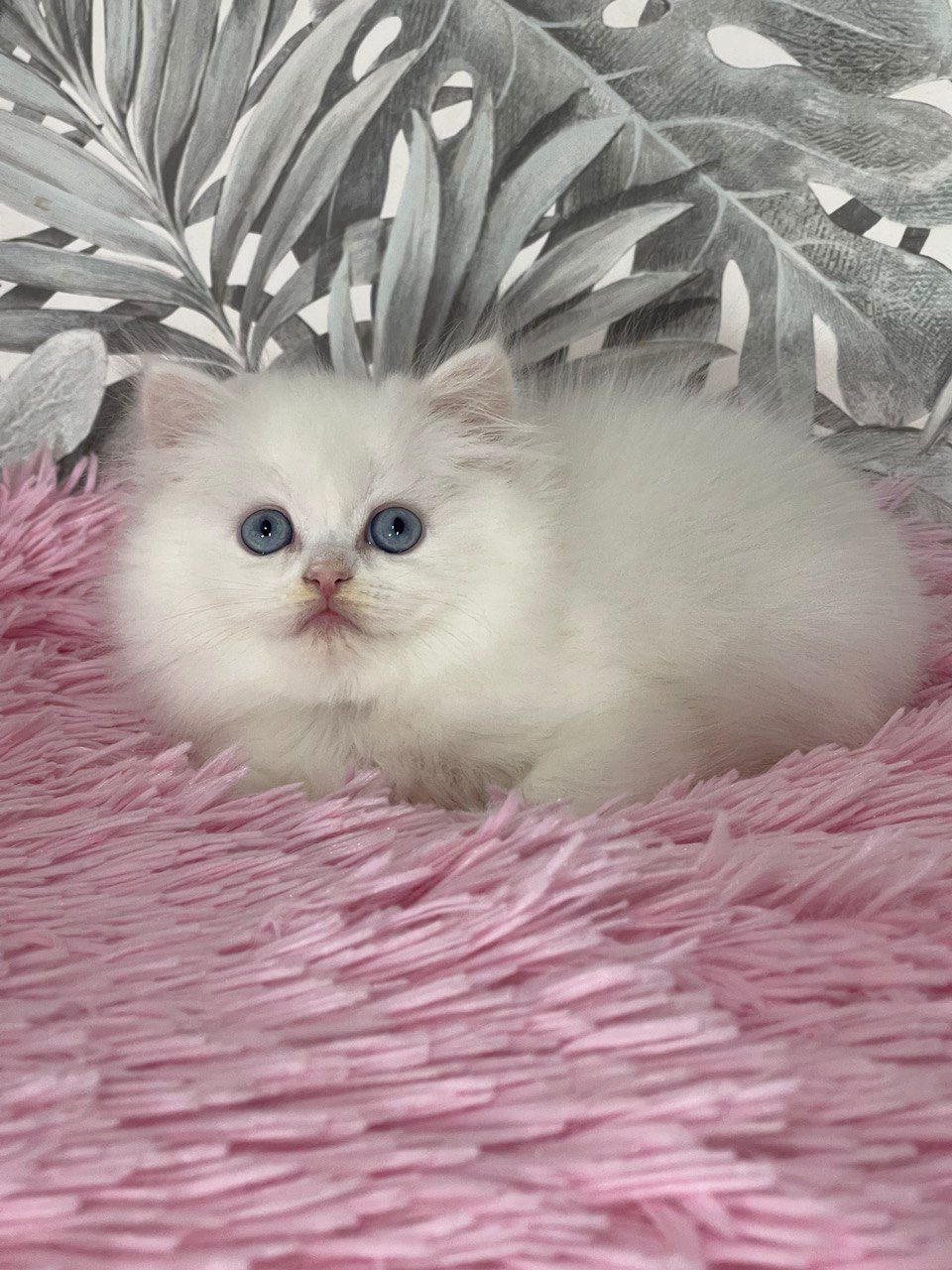 074f4445-7adc-4d84-83a8-5102e0d74c5f