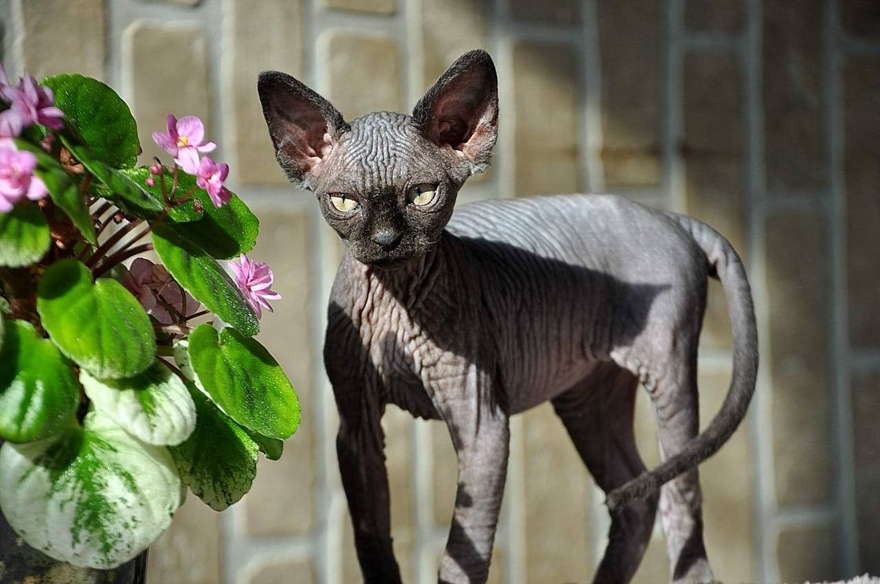 07a2f6b0-5121-46bf-ae88-2b1bd68bb2b3