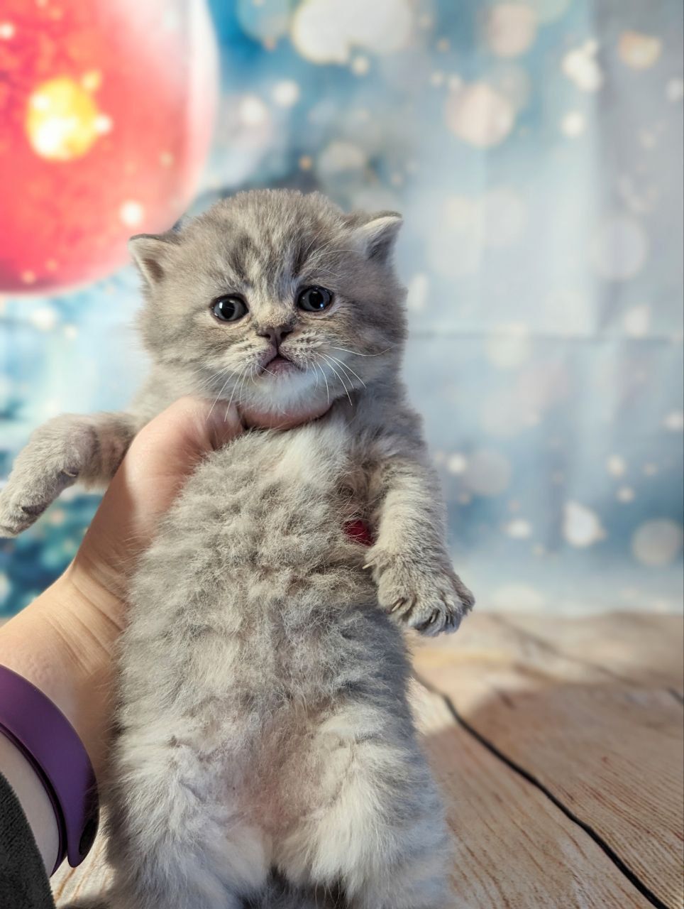 081235ab-4470-40d0-a31a-0eb4d6527cb7