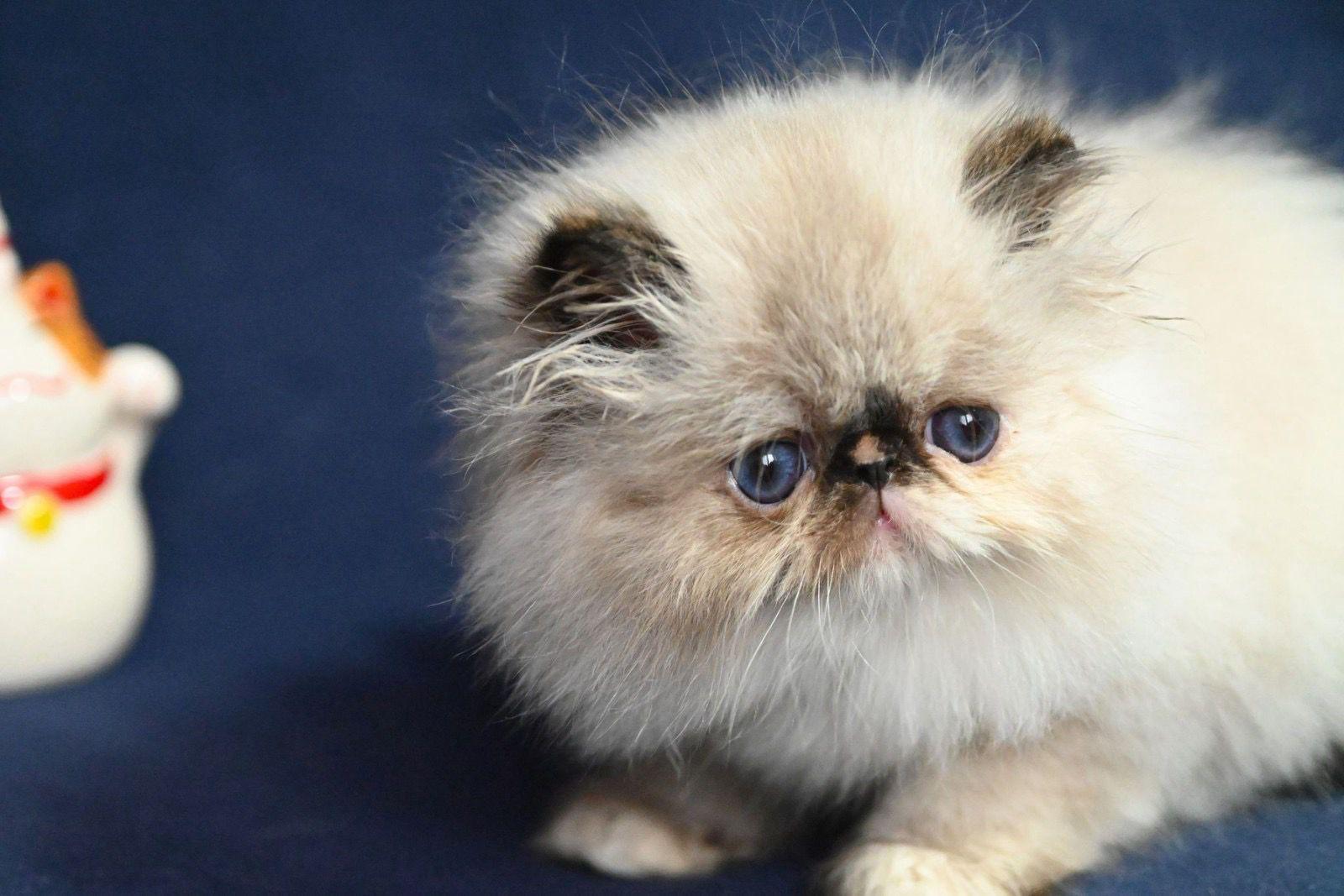 0c6468c1-fd6a-4071-bfcd-59bc37f9979b