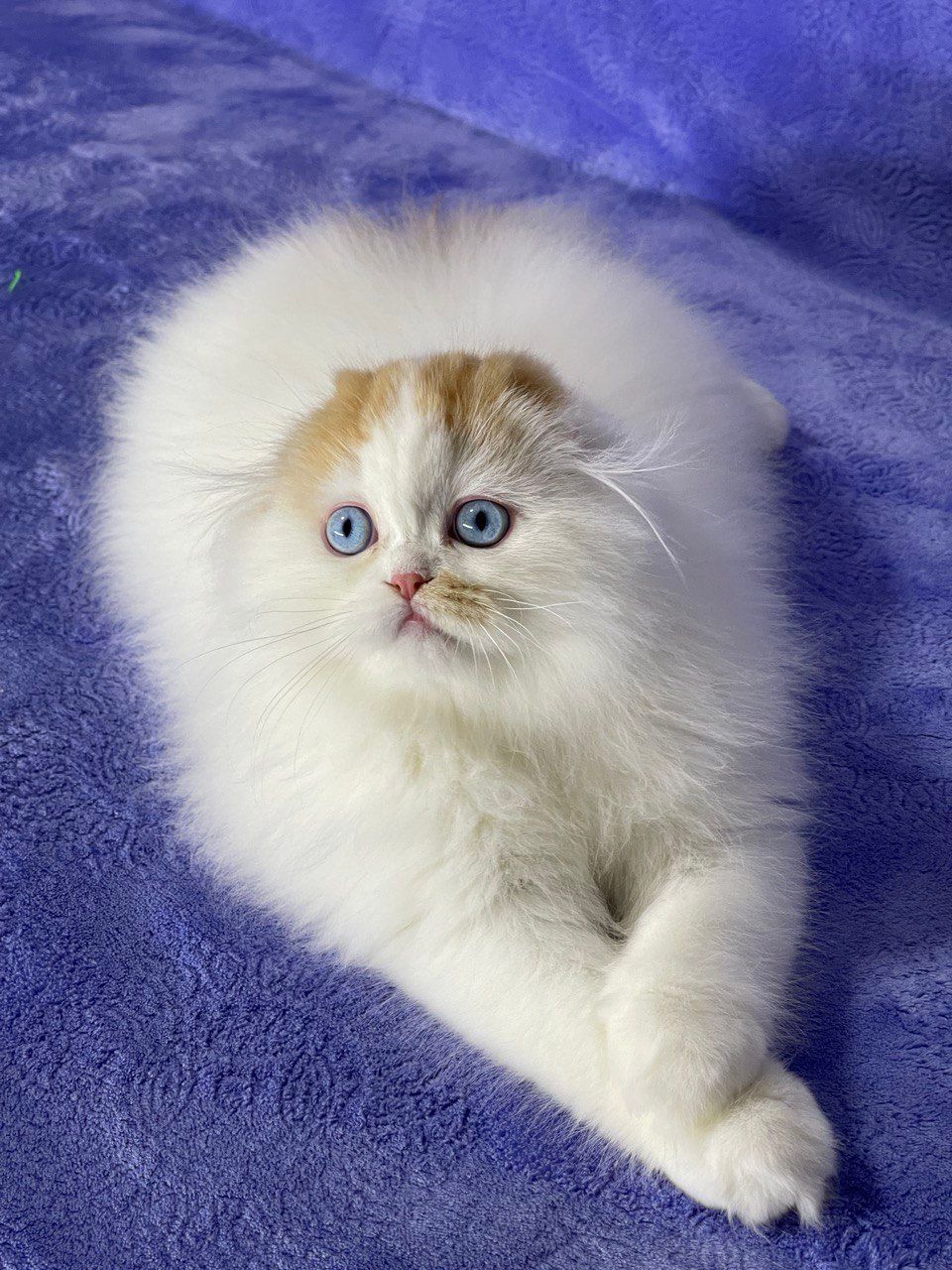 10ec7b9d-62ee-4793-81c8-1c062f56b732