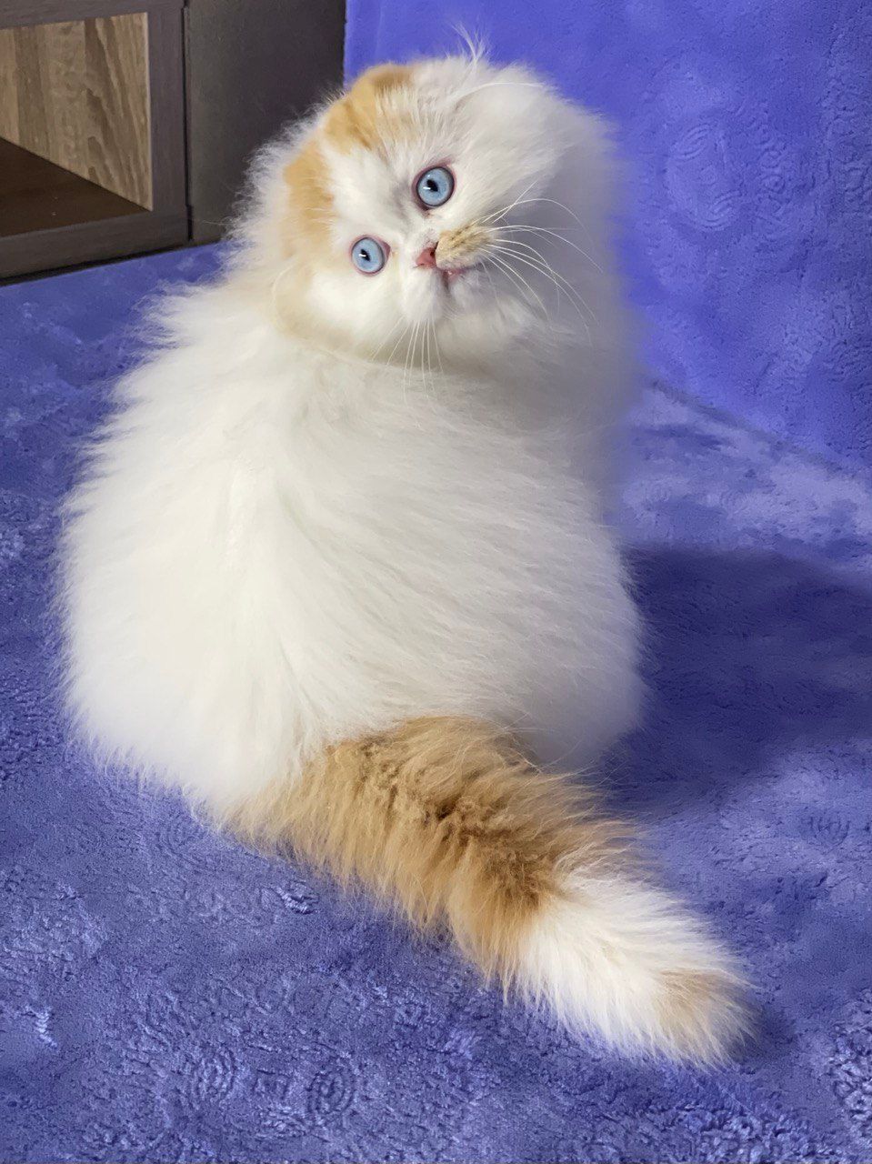 13b3caa8-60c8-4ada-ac6e-3468f0454f27