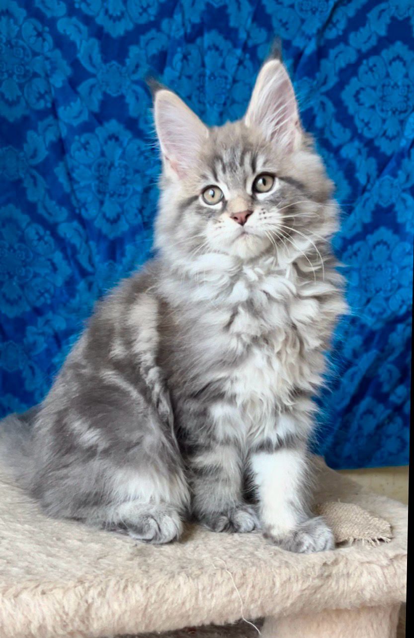 16527eec-2cdd-4ee9-981f-3b06c36afee7